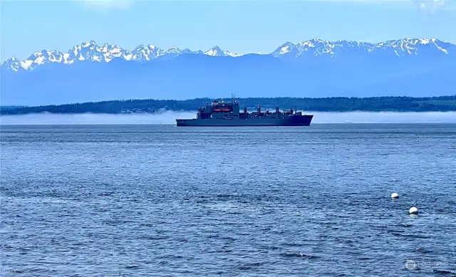 The busy shipping lanes of Puget Sound
