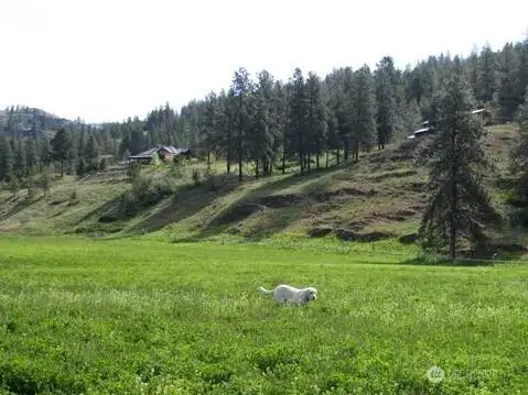 Hay field