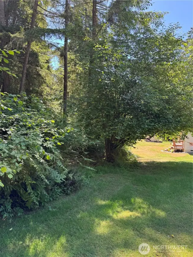 Looking West