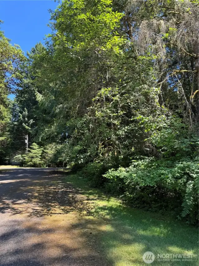 Looking East