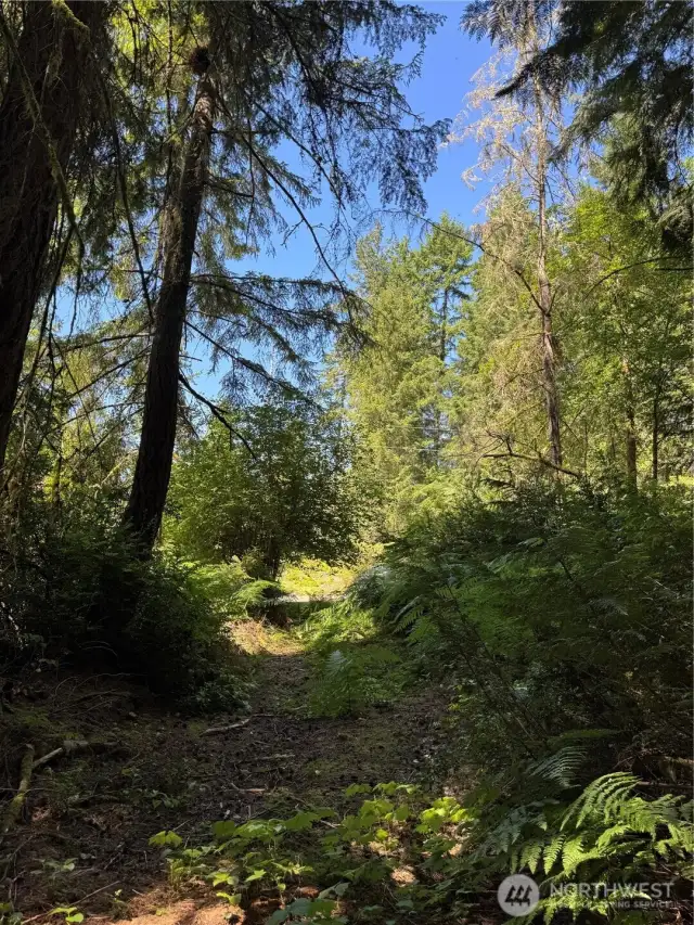 Inside Property