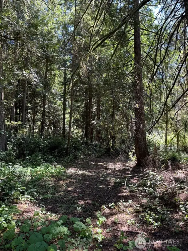 Property Partially Cleared