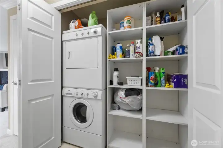Washer and Dryer stay, closet shelving also stays