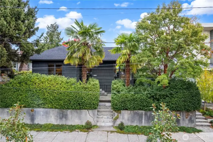 Palm Trees frame front of this 1907 home