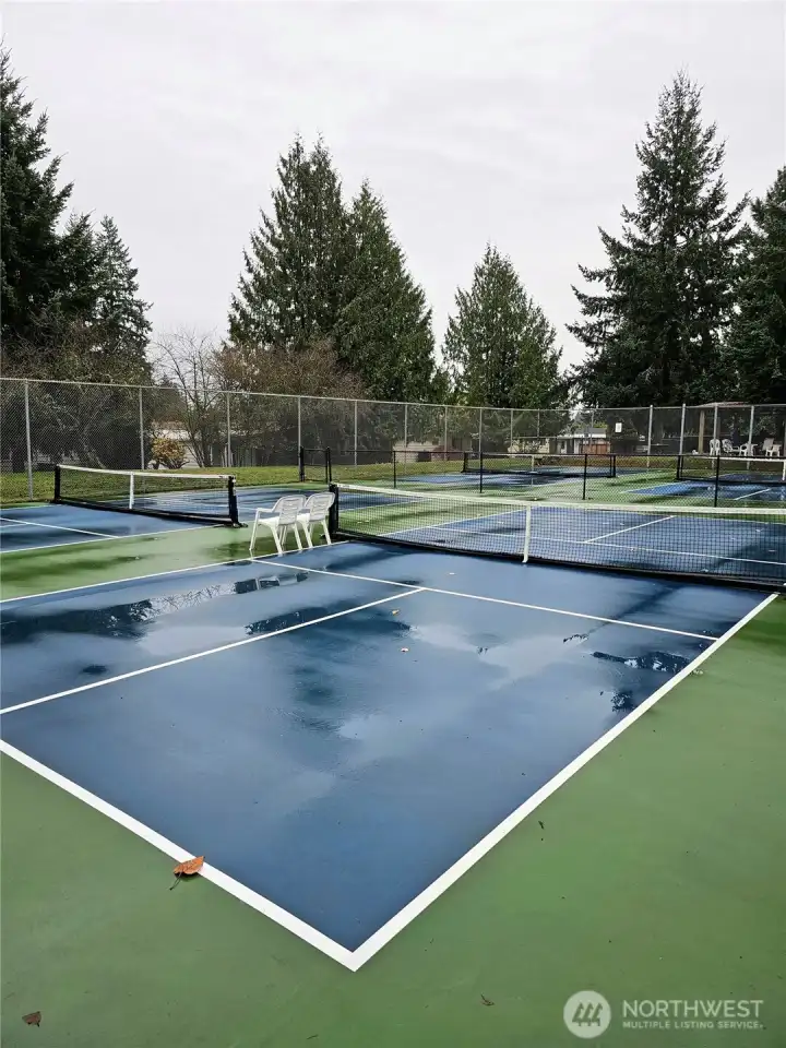Pickleball court located in back of community.