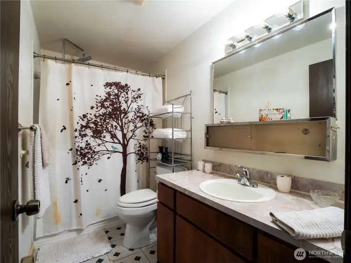 The full bath is located in the "sleeping" section of the home and has a walk-in tub.