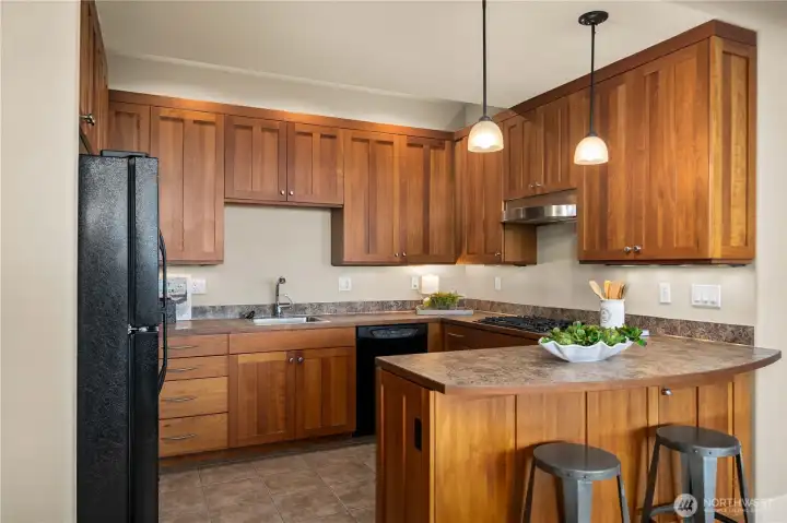 2nd kitchen in the lower level