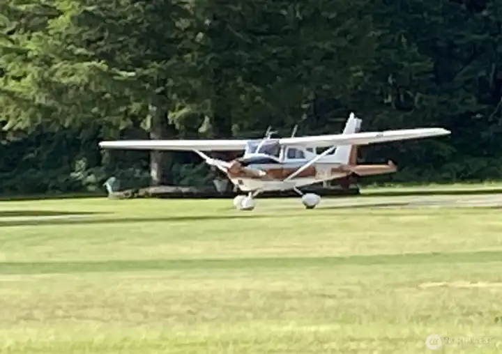 Fly in. Fall in love.