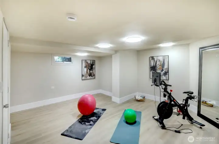 Large bonus room - great for an office, gym, or rec room.