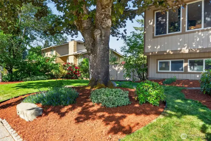 Nestled on a landscaped lot surrounded by mature greenery. Nestled on a landscaped lot surrounded by mature greenery.