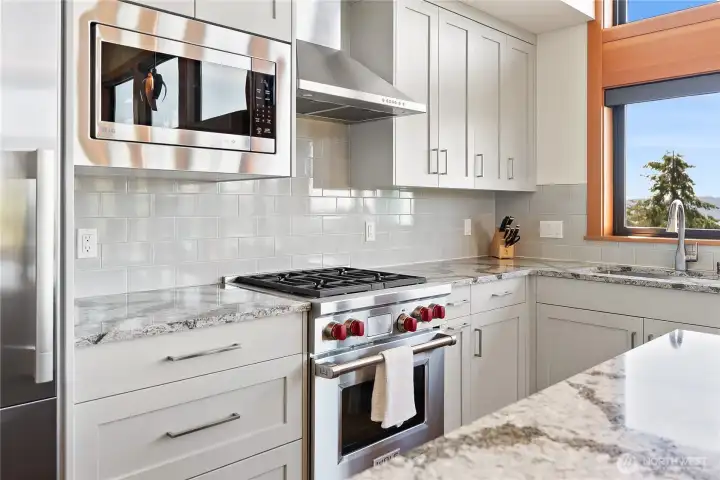 Wolfe dual fuel range and hood vent