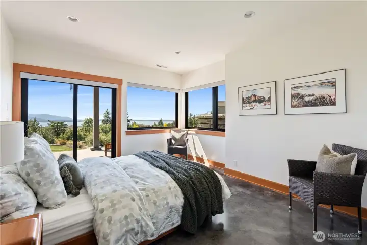 Additional bedroom downstairs, with access to the lower patio and backyard