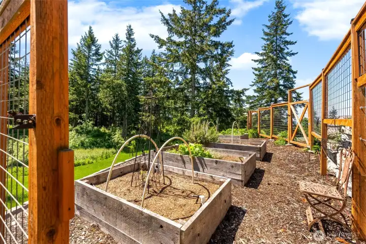 Deer proof fenced in garden area with irrigation