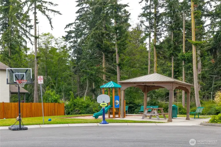 Neighborhood park are with basketball hooop.