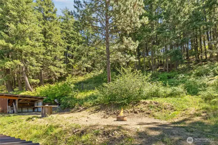 Looking up into your land! Terraced fire pit area with another covered shed and wood storage. Look at all the nature around you! Looking up into your land! Terraced fire pit area with another covered shed and wood storage. Look at all the nature around you!