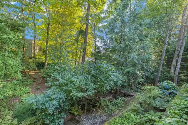 The seasonal creek flows all the way to the lake.