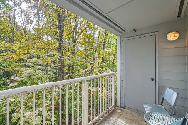 Lovely treehouse deck! Bird watch and feed the hummingbirds in this very peaceful setting. The door leads to the outdoor storage closet.