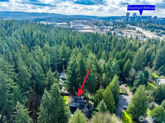Downtown Bellevue is just off to the south.