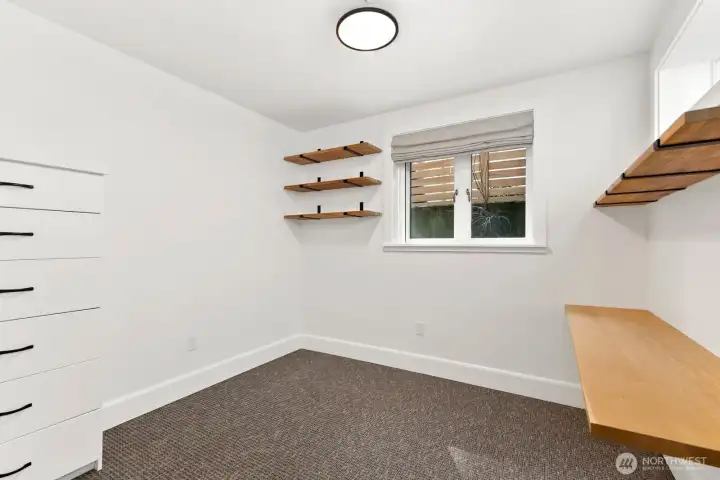 Lower level bedroom/office