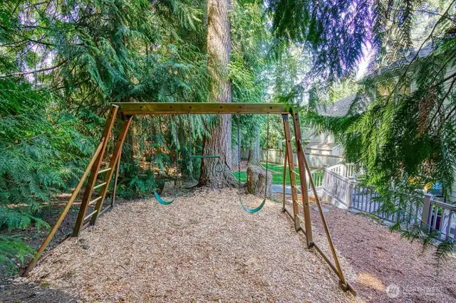 Play structure #1.
