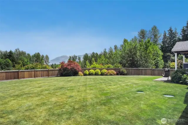 Huge lawn, manicured landscaping & raised garden beds