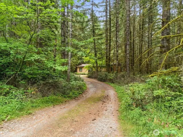 The private drive to the adjacent parcel enhances the sense of separation while still keeping everything conveniently connected to the main property.