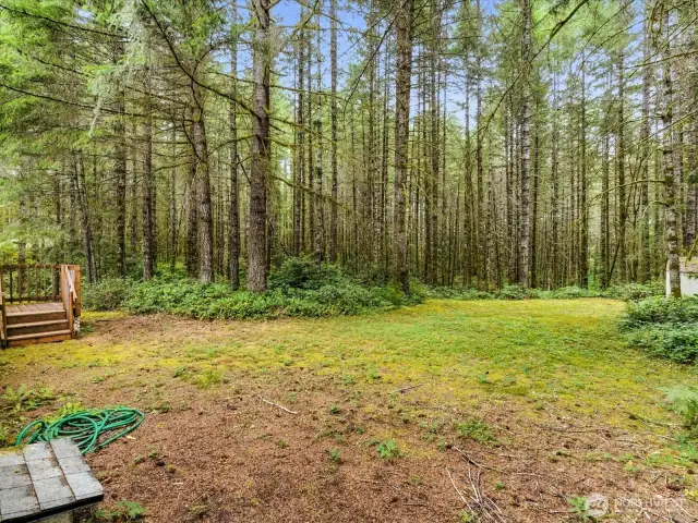 The backyard of the SCU is surrounded by greenery providing a sense of calm and seclusion.