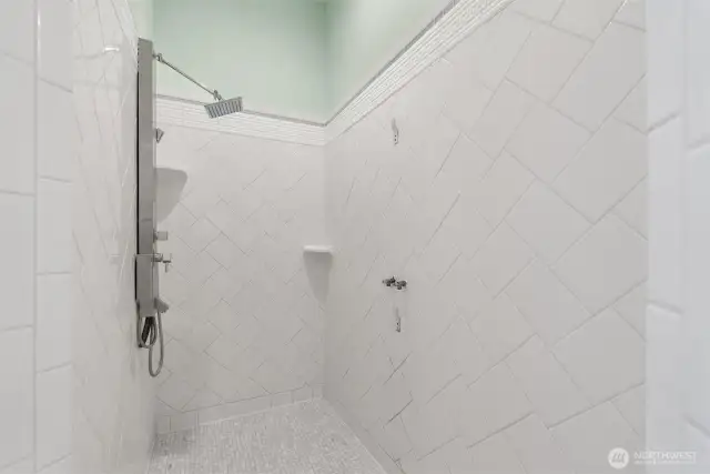 Walk in tiled shower