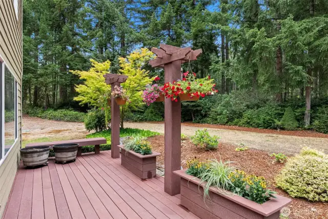 Trex Decking
