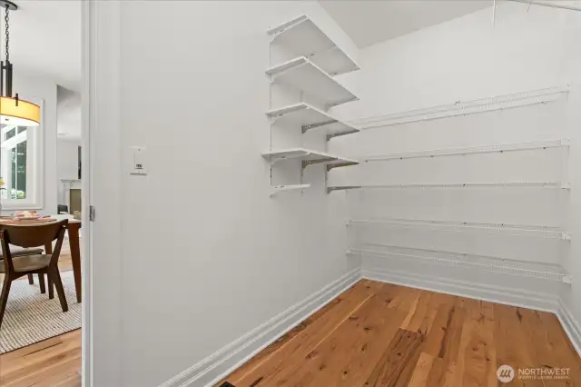 Huge walk-in pantry off kitchen offering an abundance of storage space