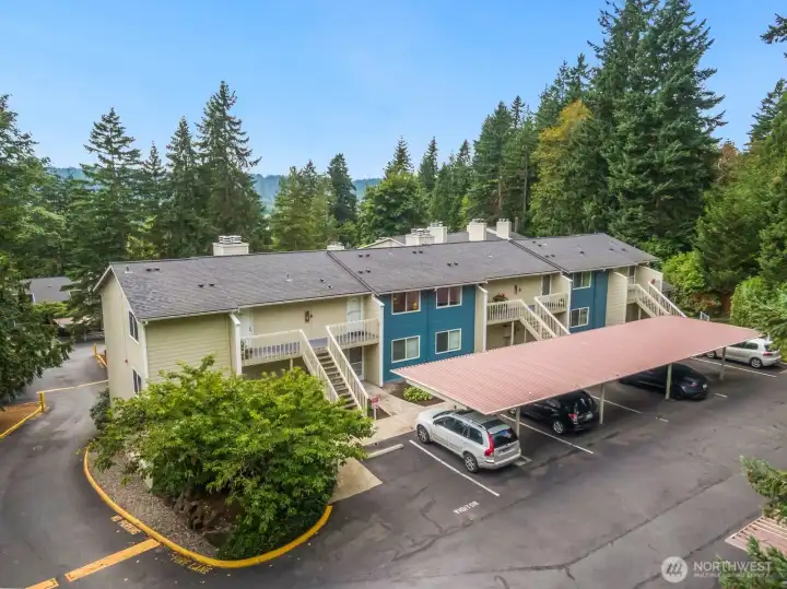 Welcome home to Redwoods!