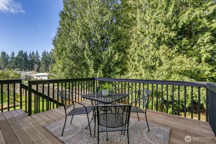 Deck from the family room looking out at the backyard