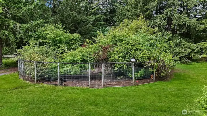 Scenic Garden - Chicken coop and run is behind this