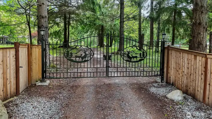 Front electronic gate