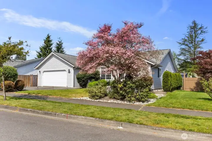 Mature landscaping