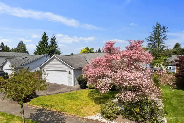 Beautiful blooming landscaping