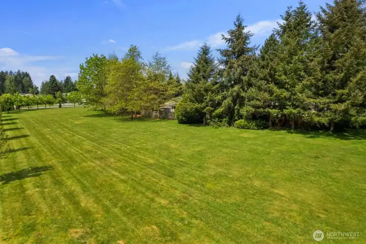 Plenty of open space in High Clover Park.  Room for sports or picnics