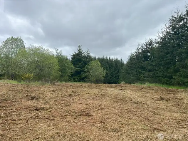 Top of hill facing east