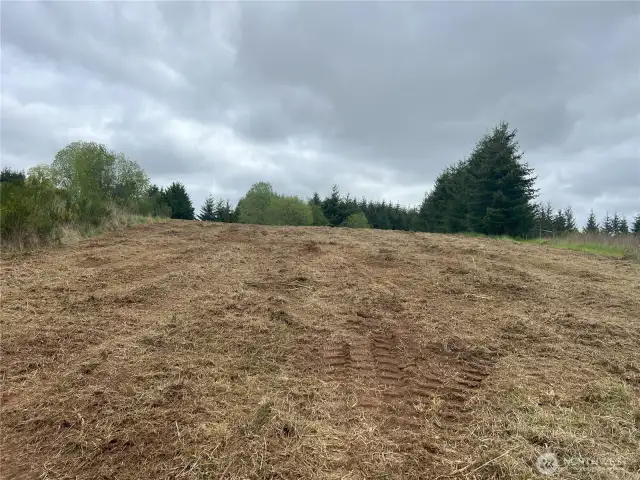 Mid-slope facing east