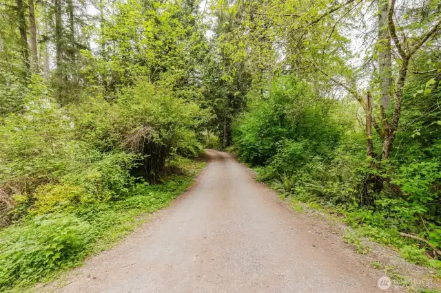 Drive into the home