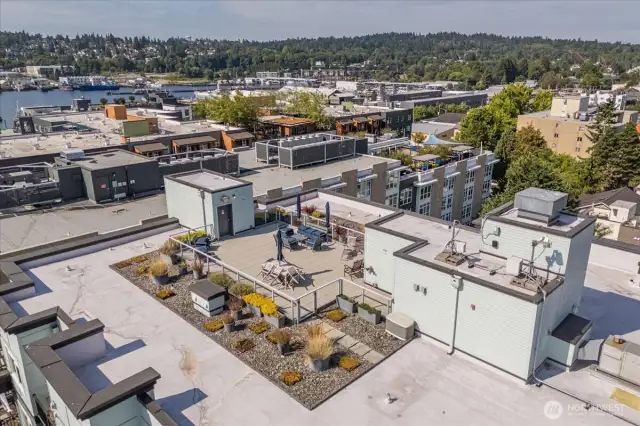 Spacious community rooftop deck!
