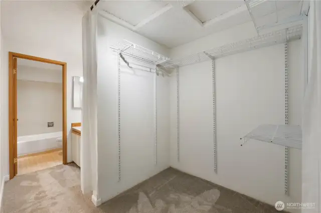 Primary large walk in closet