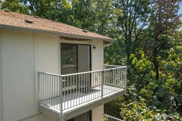 Sun deck perched high feels like a treehouse!