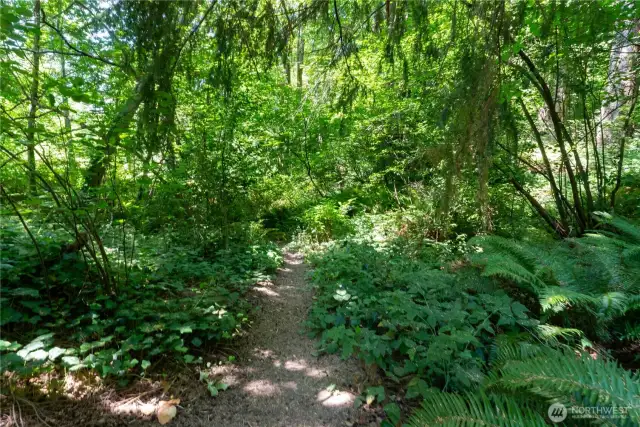 Perfect trail for walking in anytime of day