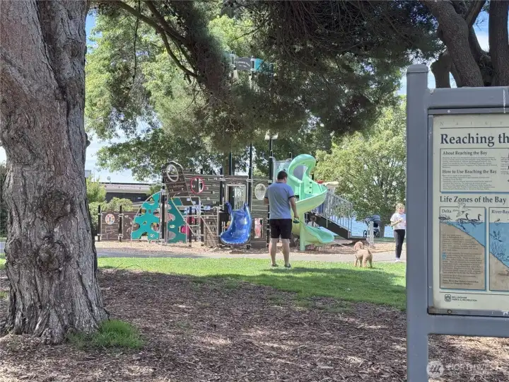Nearby Playground