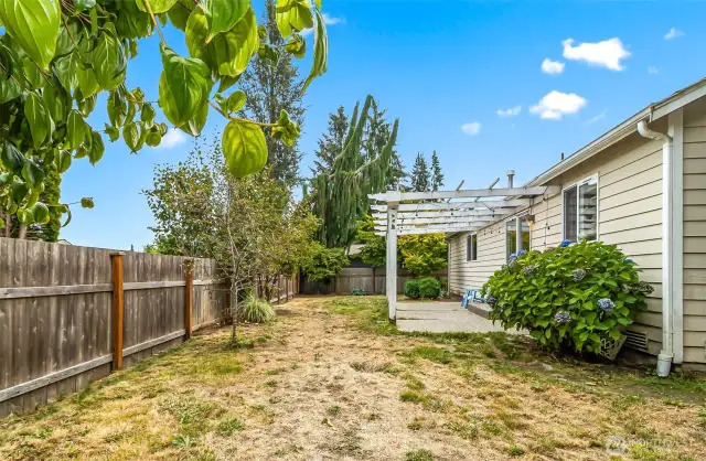 Backyard with pergola