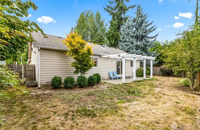 Side and backyard