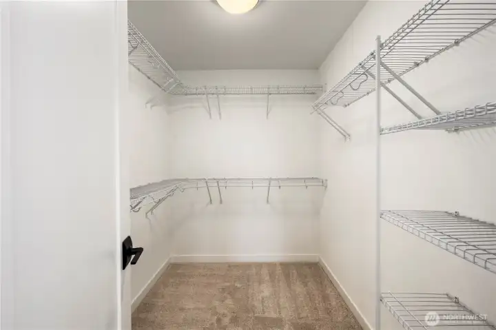 Primary Closet: Spacious walk-in closet with built-in wire shelving for versatile organization. Ample room ensures storage is never an issue. These photos are of the actual, staged home being sold at Foxmoore. However, all photos, renderings, site maps, and floorplans are for visualization purposes only. Plans, colors, building orientation, finishes, home outlook, and other details can and WILL vary.