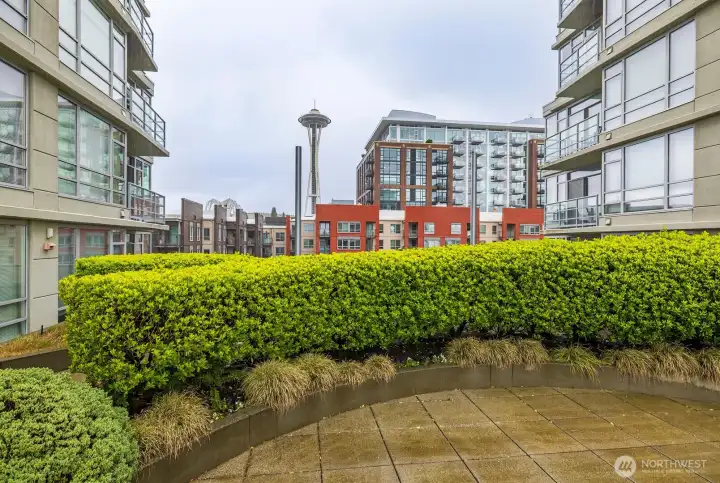 View from 6th floor Deck.