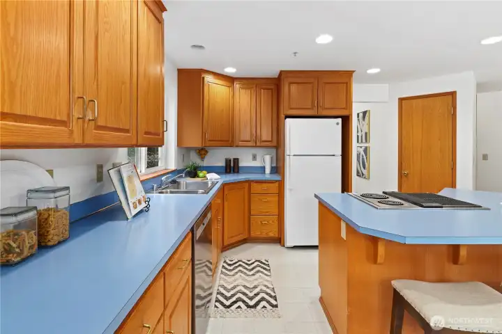 Plenty of counterspace & pantry is to the right of the fridge